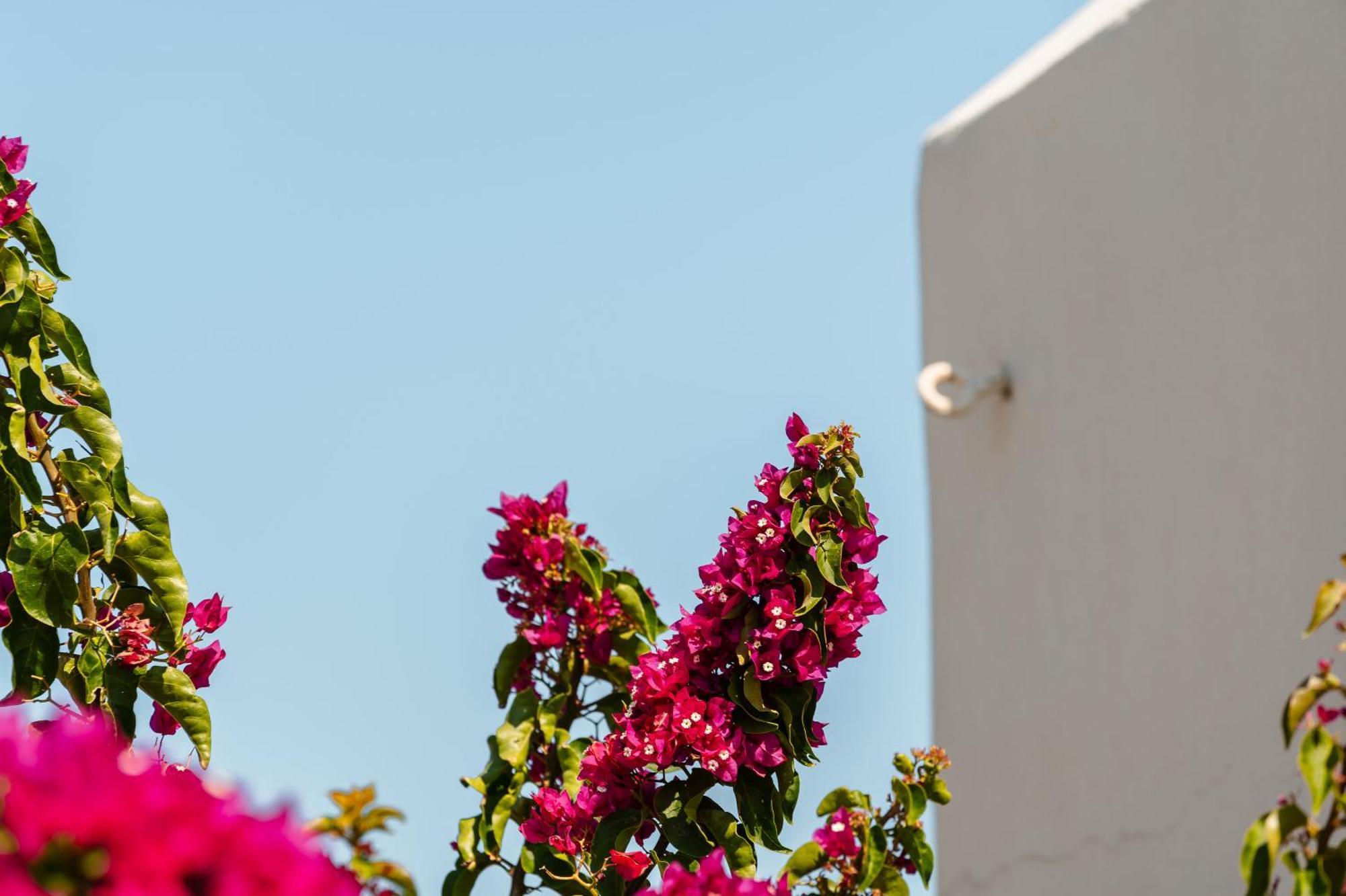 Rosabella Home Naxos City Luaran gambar